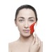 Antioxidant Algea Peel Off Mask Alginatinė, antioksidacinė veido kaukė, 2 kartams