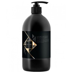 Hydro Intensive Repair Shampoo Intensyviai atkuriantis šampūnas , 800 ml 