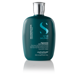 Reconstruction Reparative Low Shampoo Atkuriamasis šampūnas pažeistiems plaukams, 250ml 