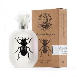 Alessandro Manfredini Eau de Pafum Kvepalai vyrams, 50ml 