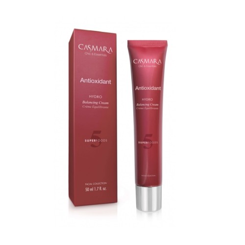 Antioxidant Hydro Balancing Cream Drėkinamasis veido kremas, 50ml