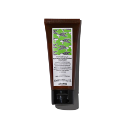Renewing Atnaujinantis kondicionierius, 60ml 