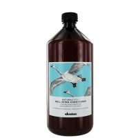 Well-Being Conditioner Geros savijautos kondicionierius pH 4, 1000ml 