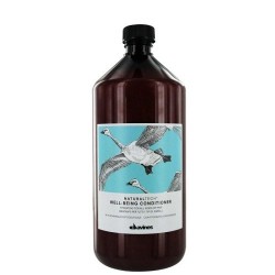 Well-Being Conditioner Geros savijautos kondicionierius pH 4, 1000ml 