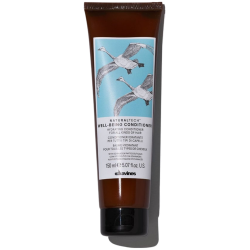 Well-Being Conditioner Geros savijautos kondicionierius pH 4, 150ml 