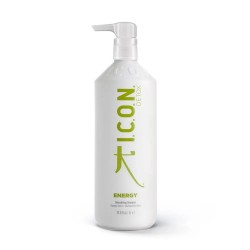 Energy Detoxifying Shampoo Giliai valantis šampūnas, 1000ml 
