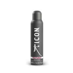 Texturiz Dry Shampoo Sausas šampūnas, 170g 