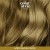 Medium Blonde 