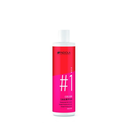 Color Shampoo Šampūnas dažytiems plaukams, 300ml