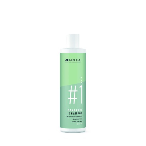 Dandruff Shampoo Plaukų šampūnas nuo pleiskanų, 300ml