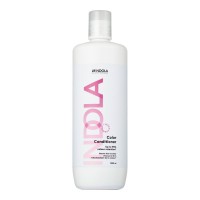 Color Conditioner Plaukų spalvą saugantis kondicionierius, 1000ml 