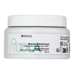 Repair Treatment Atkuriamoji kaukė pažeistiems plaukams, 250ml 