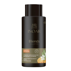 Blends Shampoo Šampūnas su vitaminu C, 500ml 