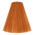 8/43 Light Blond Copper Gold 