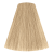 9/17 Very Light Blond Ash Brown 