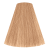9/79 Very Light Blond Brown Cendre 
