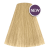 9/13 Very Light Blond Ash Gold 