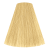 9/ Natural Very Light Blond 