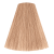 8/96 Light Blond Cendre Violet 