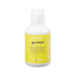 Laundry Soap Gym Tonique Sportinių audinių skalbiklis, 500ml 