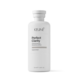 Care Line PERFECT CLARITY Giliai valantis šampūnas, 300ml 