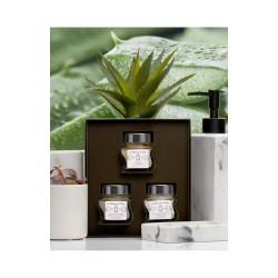 Aloe Vera Set Veido priežiūros priemonių rinkinys, 3x50ml 