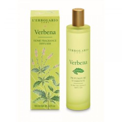 Home Fragrance Diffuser Verbena Namų kvapas, 100ml 