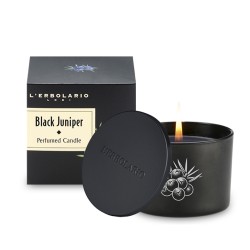 Black Juniper Kadagių kvapo aromatinė žvakė, 1 vnt 