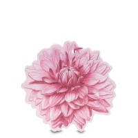 Shades of Dahlia Jurginų aromato kvapi kortelė, 1vnt 