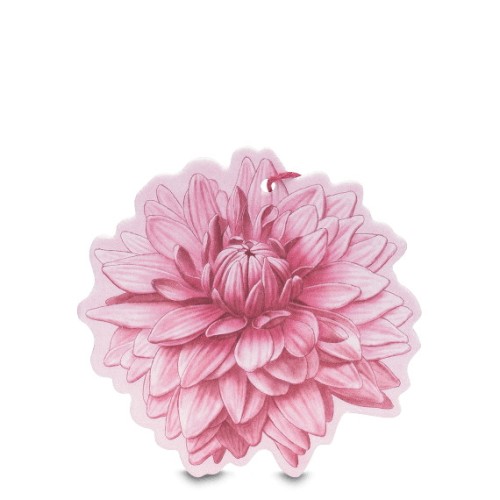 Shades of Dahlia Jurginų aromato kvapi kortelė, 1vnt
