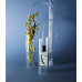 MORNING Eau de Parfum Parfumuotas vanduo, 50ml