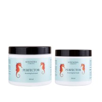 Perfector Restoring Hair Mask Atkuriamoji plaukų kaukė, 600ml 