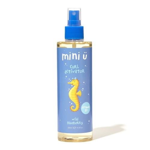 Wild Blueberry Curl Activato Garbanų modeliavimo priemonė, 250ml
