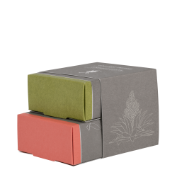 Shaving Soap Duo Aloe Vera & Grapefruit Skutimosi muilų rinkinys, 2x65g 