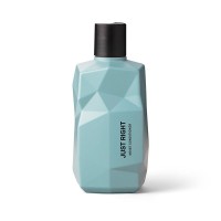 JUST RIGHT Moist Conditioner Drėkinamasis kondicionierius, 300ml 