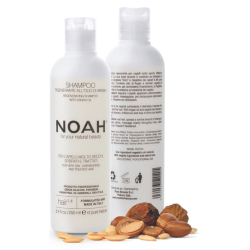1.4. Regenerating Shampoo With Argan Oil Šampūnas sausiems ir chemiškai pažeistiems plaukams, 250 ml 