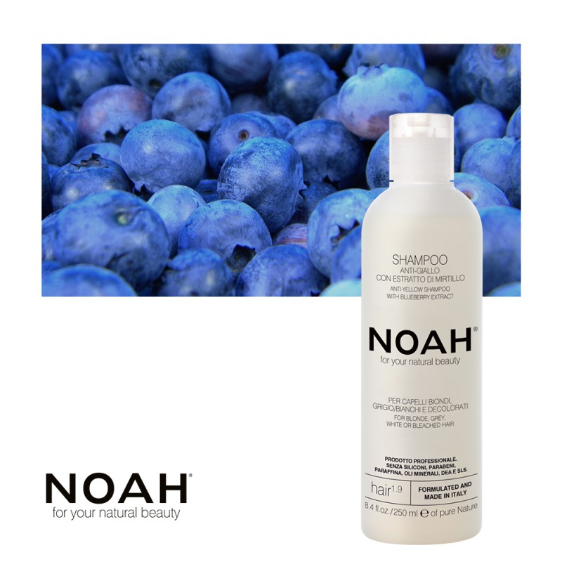 1.9. Anti-Yellow Shampoo Geltonus atspalvius neutralizuojantis šampūnas, 250ml