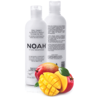 2.1. Nourishing Conditioner With Mango And Rice Proteins Maitinamasis balzamas lengvinantis plaukų iššukavimą, 250ml 