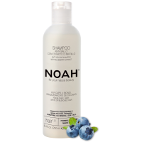 1.9. Anti-Yellow Shampoo Geltonus atspalvius neutralizuojantis šampūnas, 250ml 