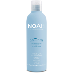 Anti Pollution Detox Shampoo Valomasis-drėkinamasis šampūnas su alijošiaus ir aliejinės moringos ekstraktais, 250ml 