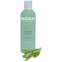 YAL Hydrating And Restorative Treatment Shampoo Drėkinantis šampūnas su hialurono rūgštimi ir šalaviju, 250ml  