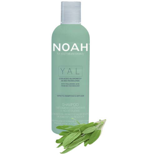 YAL Hydrating And Restorative Treatment Shampoo Drėkinantis šampūnas su hialurono rūgštimi ir šalaviju, 250ml 