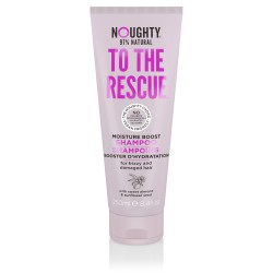 To The Rescue Moisture Boost Shampoo Drėkinamasis šampūnas, 250ml 