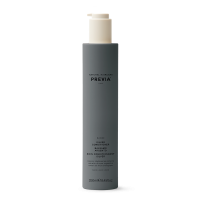 Silver Conditioner Kondicionierius šviesintiems plaukams, 250ml 