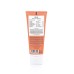 Ginger Root Daily Moisturiser Kasdienis drėkinamasis kremas, 75ml