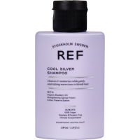 Cool Silver Shampoo Geltonus atspalvius neutralizuojantis šampūnas, 100ml 