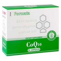 CoQ10 kapsulės N30 