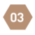 03 