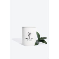 THE DEVIL Scented Candle Kvapioji žvakė, 250g 