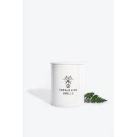 JUSTICE Scented Candle Kvapioji žvakė, 250g 